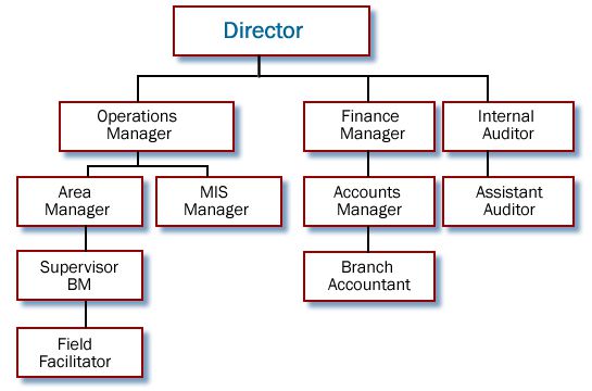 Mis Organization Chart